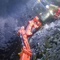 Fixed Type Pedestal Boom System